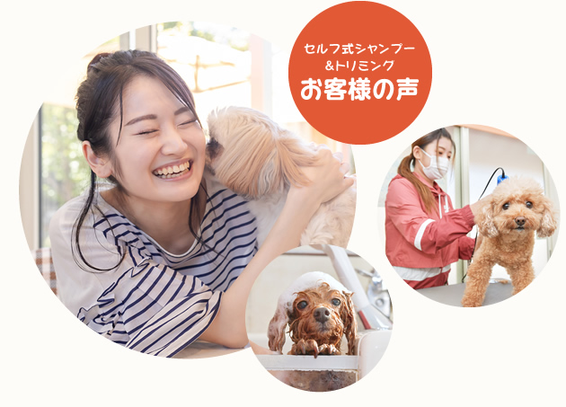 たくさんのお客様のお声