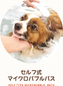 セルフ式マイクロバブルバス