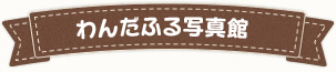 わんだふる写真館