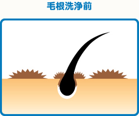 毛根洗浄前