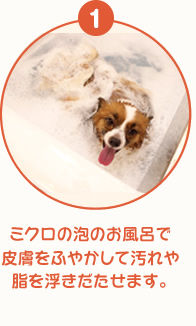 ミクロの泡のお風呂で皮膚をふやかして汚れや脂を浮きだたせます