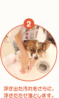 浮き出た汚れをさらに、浮きだたせ落とします