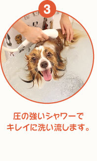 圧の強いシャワーでキレイに洗い流します