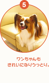 ワンちゃんもきれいになりうっとり