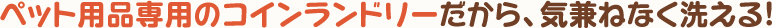 ペット用品専用のコインランドリーだから、気兼ねなく洗える！