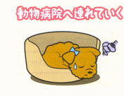 動物病院へ連れていく