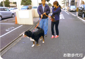 お散歩代行