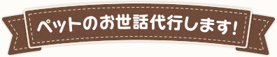 ペットのお世話代行します！