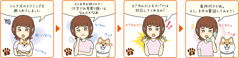 わんだふるスパではシニア犬トリミングも承ります！