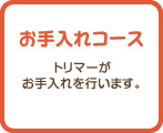 お手入れコース　トリマーがお手入れを行います。