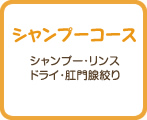 シャンプーコース　シャンプー・リンス・ドライ・肛門腺絞り