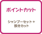 ポイントカット　シャンプーセット+部分カット