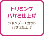 トリミングハサミ仕上げ　シャンプー+カット ハサミ仕上げ